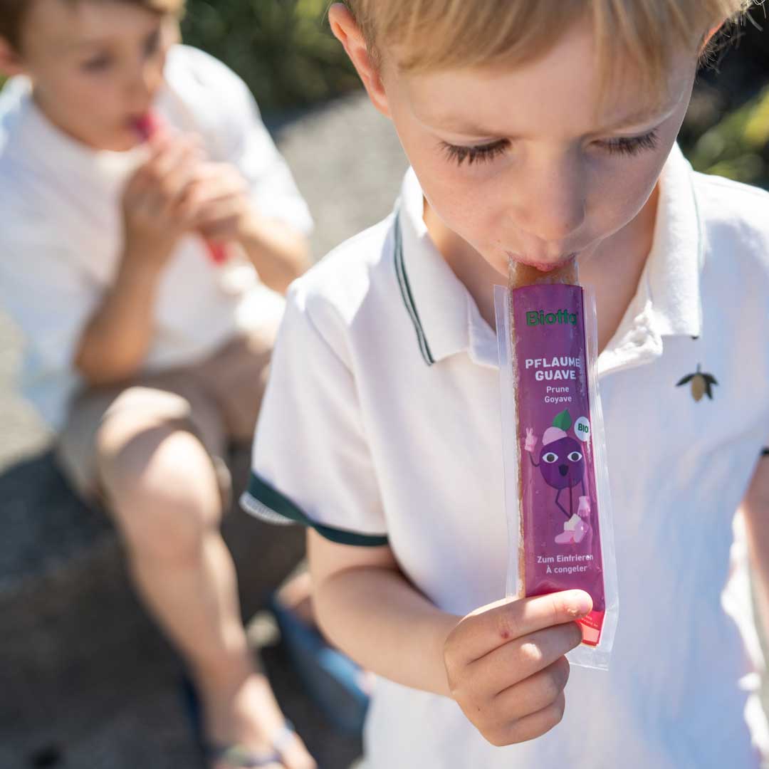 Fruity Ice Sticks