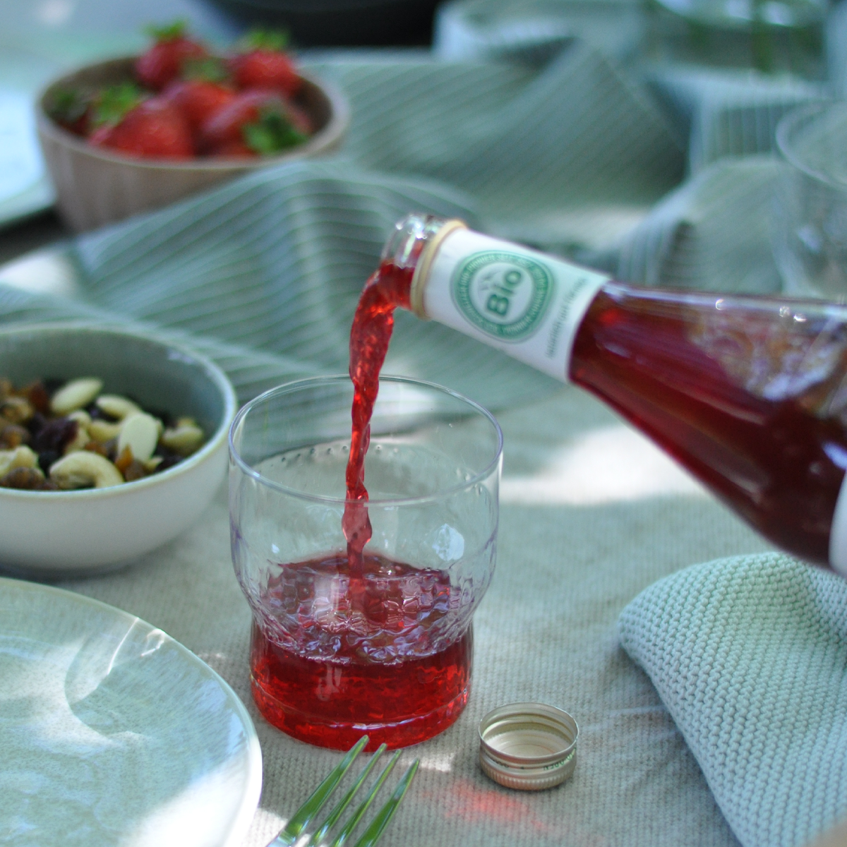 Biotta Preiselbeere Plus