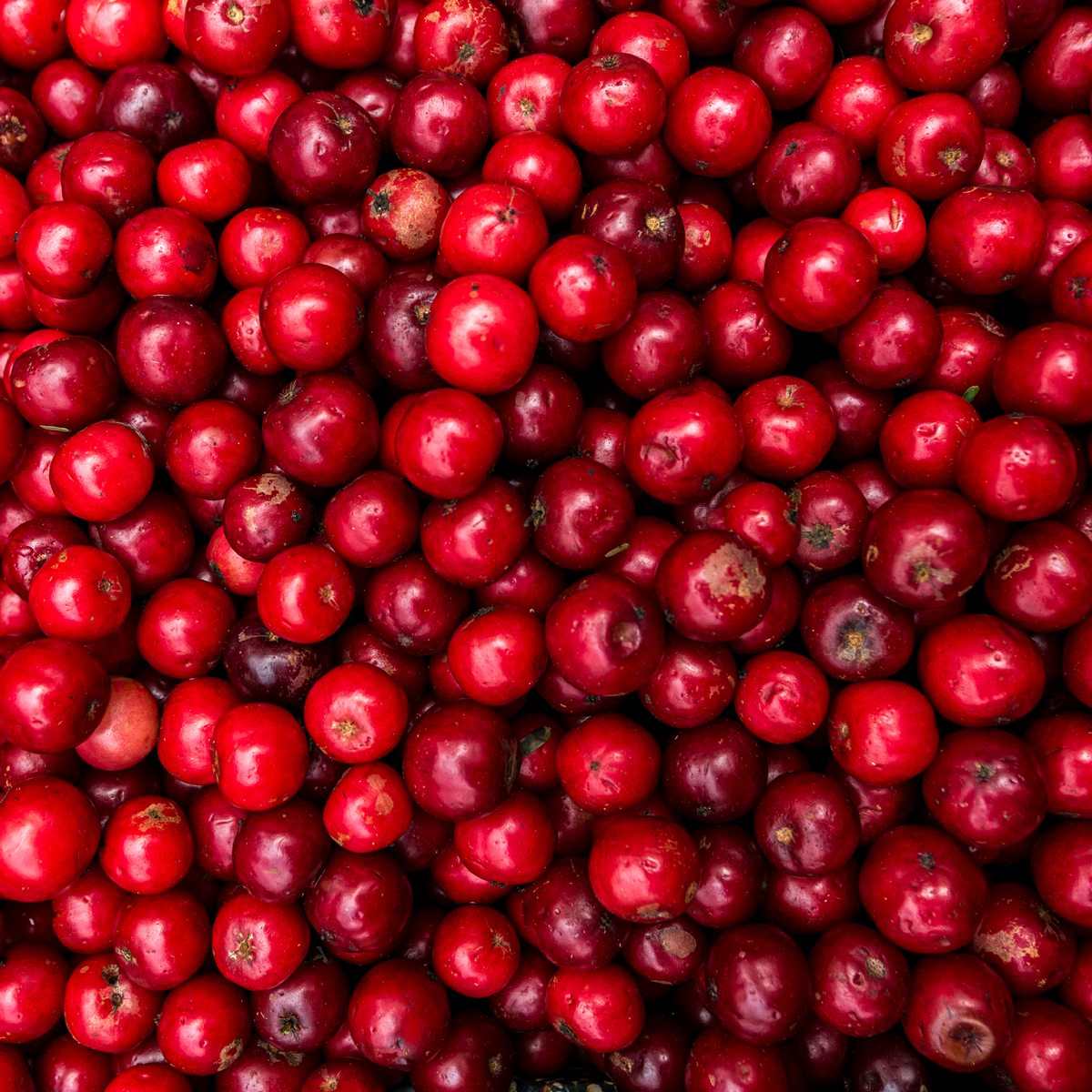 Biotta Preiselbeere Plus