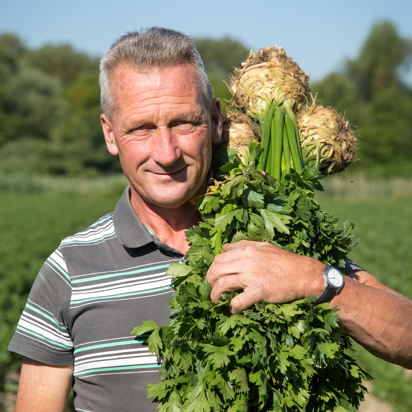 Biotta Vital Sellerie