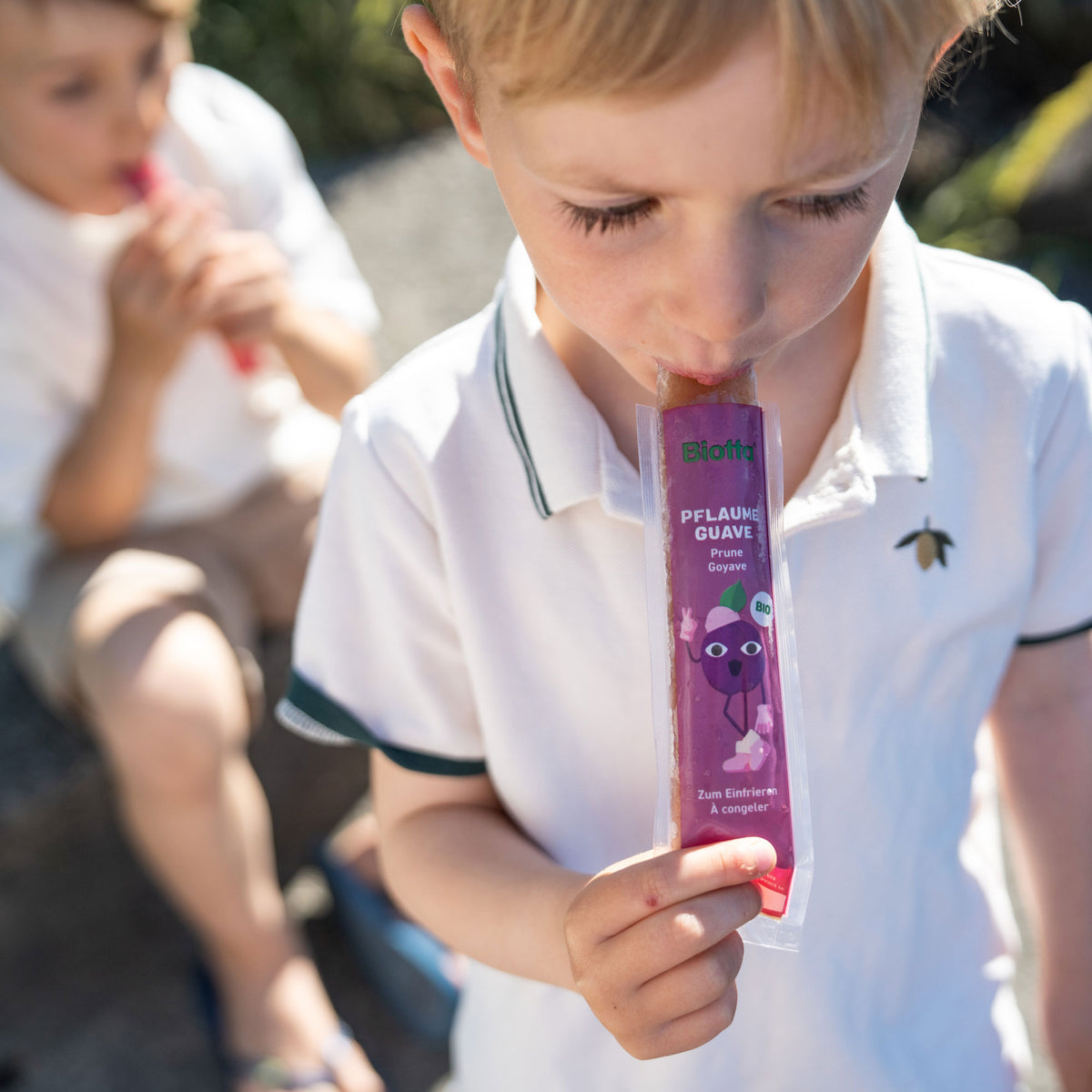 Fruity Ice Sticks